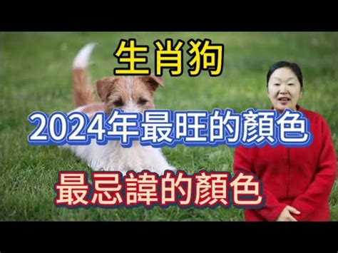 狗 幸運色|2024年運勢大揭秘：生肖狗的幸運數字、顏色和貴人。